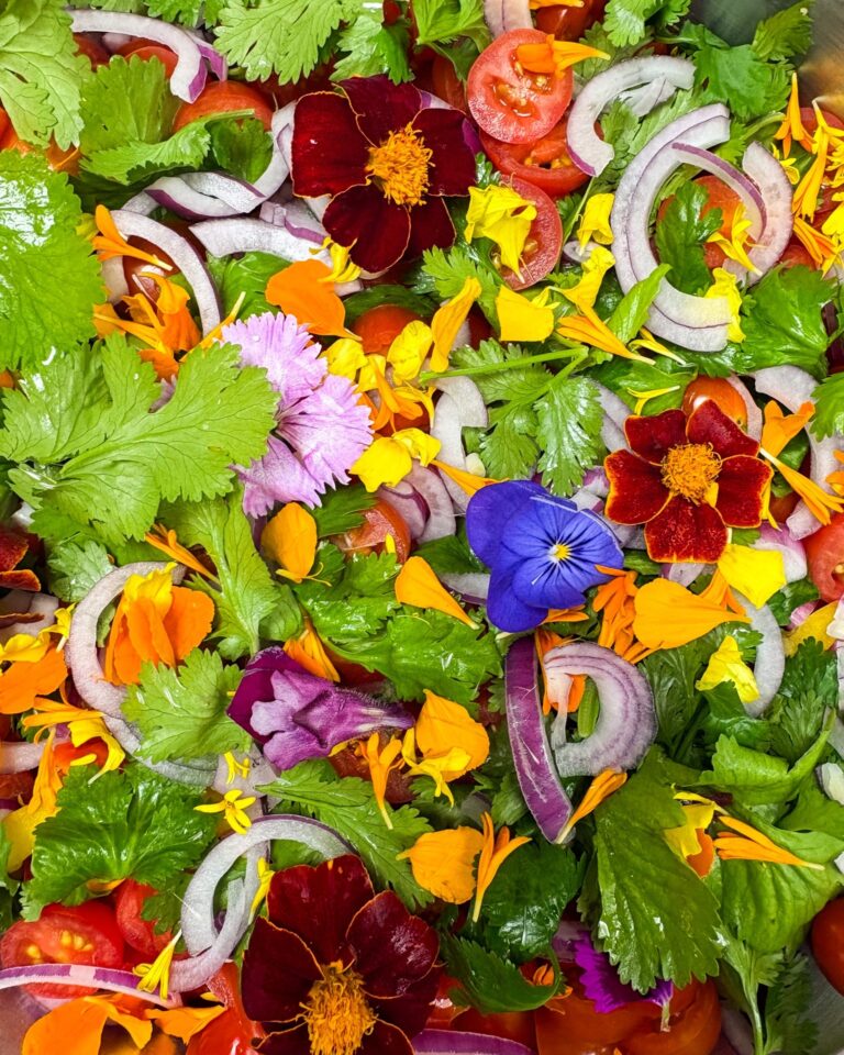 Instagram post from fabevent. This post is in position 1.